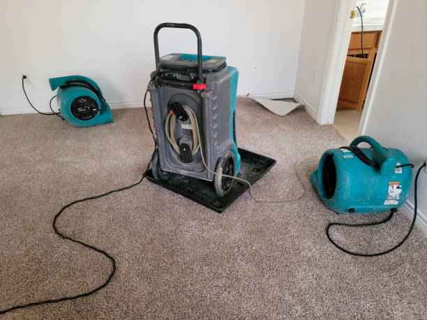 Best Flood restoration services  in North Wales, PA