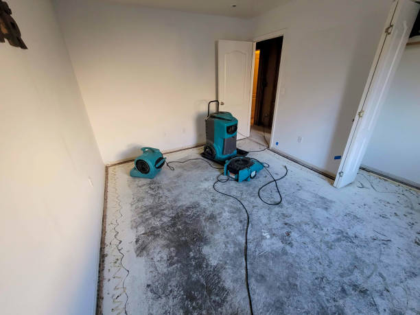 Best Ceiling water damage repair  in North Wales, PA
