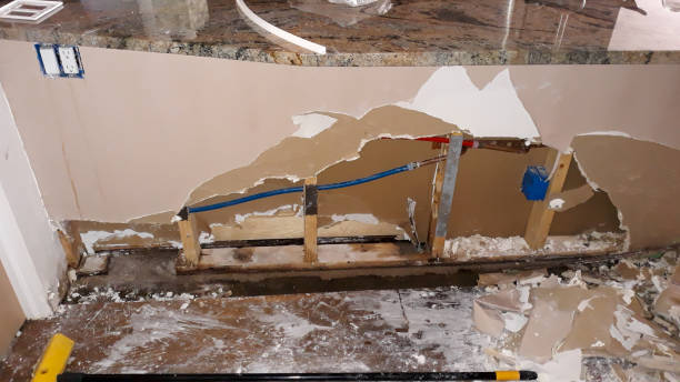 Best Flood damage cleanup  in North Wales, PA