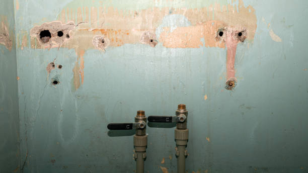 Best Flooded house restoration  in North Wales, PA