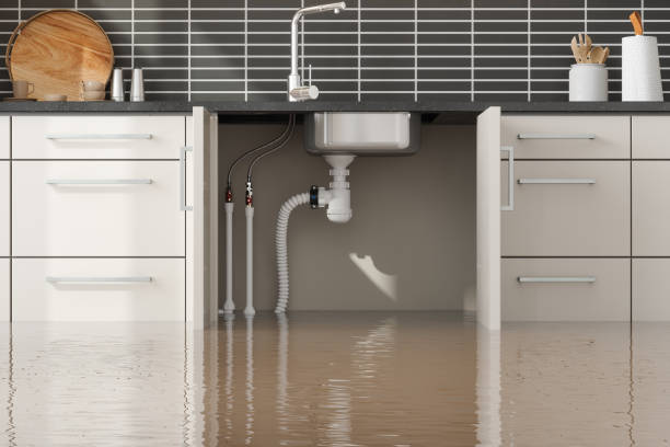 Best Water damage restoration near me  in North Wales, PA