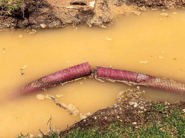 Best Local water damage restoration  in North Wales, PA