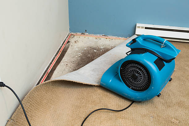 Best Water damage restoration process  in North Wales, PA